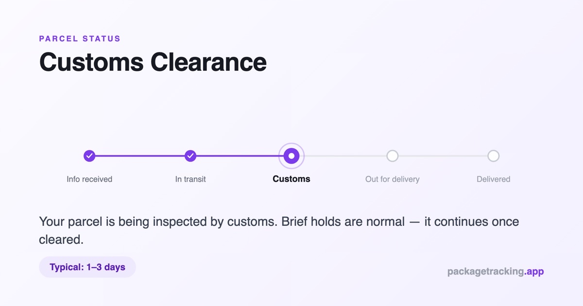 Parcel status journey with the customs clearance stage highlighted